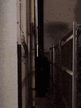 a person is standing in the dark in a narrow hallway .