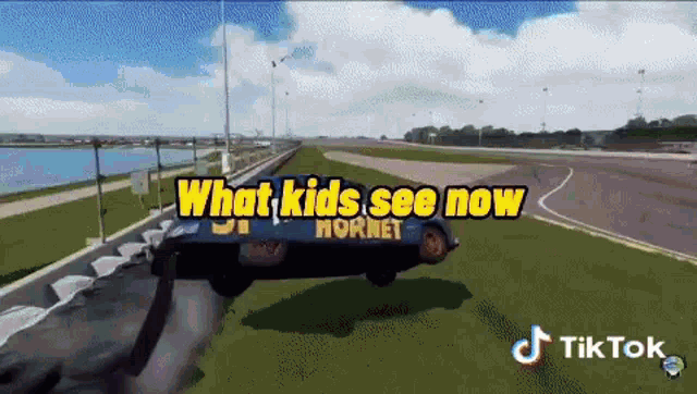 a picture of a hornet car on a race track