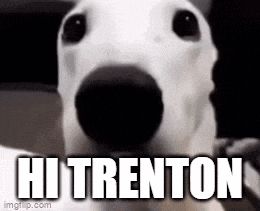 a close up of a dog 's face with the words hi trenton written on it .