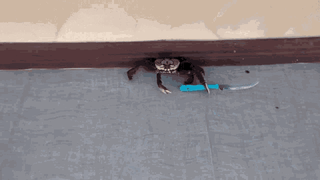 a crab is holding a knife in its paws