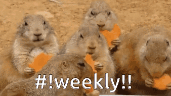 Weekly Groundhogs GIF - Weekly Groundhogs Weekly Groundhogs GIFs