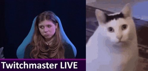 a woman is sitting in a chair next to a cat with a black and white stripe on its head
