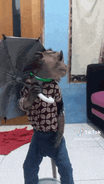a monkey is wearing sunglasses and holding an umbrella in a room