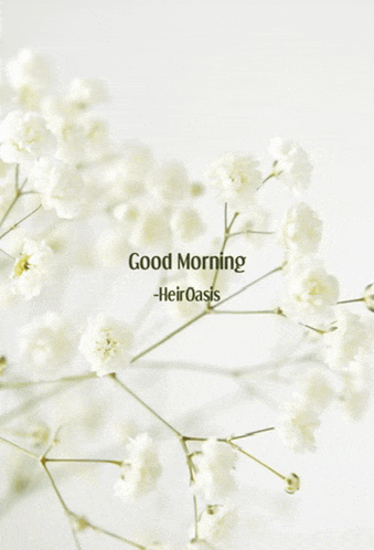 a bunch of white flowers with the words good morning heir oasis