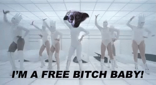 Free Bitch Baby GIF - Dobby Freedom Lady Gaga GIFs
