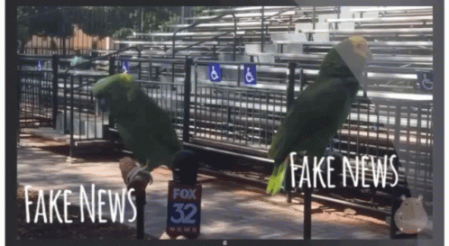 Fake News GIF - Fake News Trumpanzees GIFs