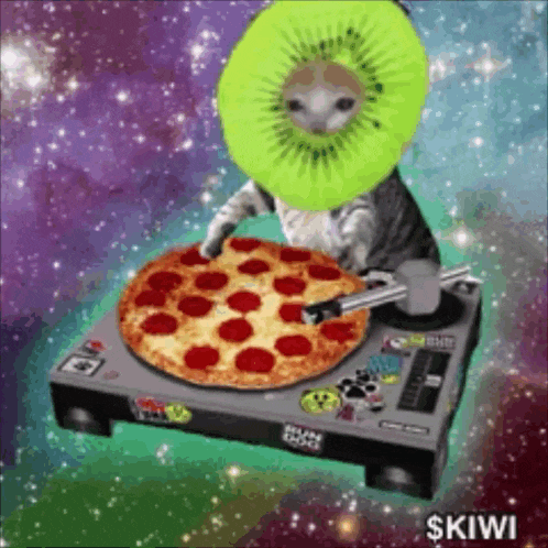 a cat with a kiwi on its head is holding a pizza on a turntable