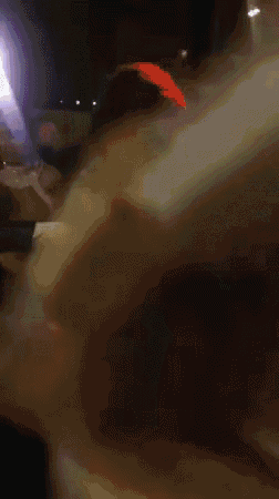 Party Dance GIF - Party Dance Wiggle GIFs