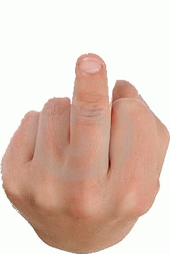 Middle Finger GIF - Middle Finger GIFs