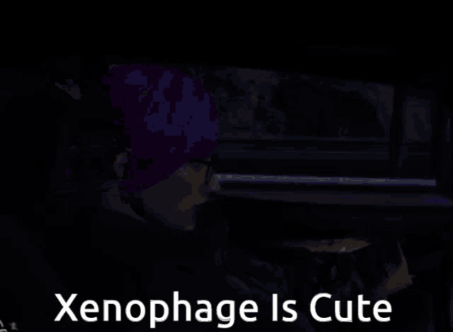 a car is driving down a highway at night and the words xenophage is cute are on the dashboard