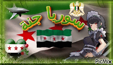 a girl in a maid outfit is sitting in front of a flag with the words " syria " on it