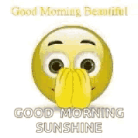 a smiley face with a heart in its mouth and the words `` good morning beautiful , good morning sunshine '' .