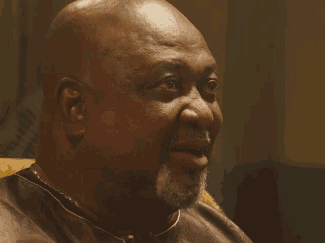 a bald man with a beard and a gold chain around his neck