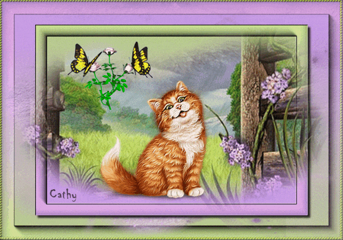 a picture of a cat with butterflies and the name cathy on the bottom
