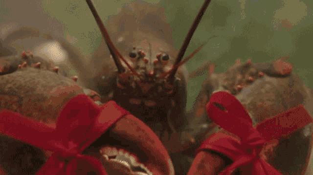 a man in a tuxedo is holding a tray of lobster .
