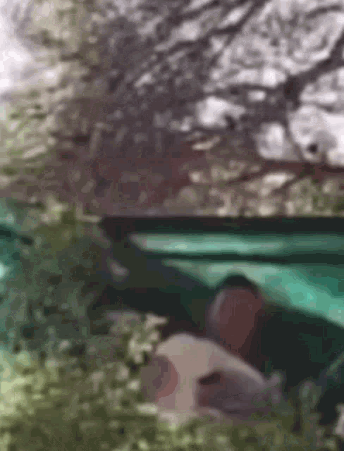 a blurry picture of a person laying under a tree in a hammock .