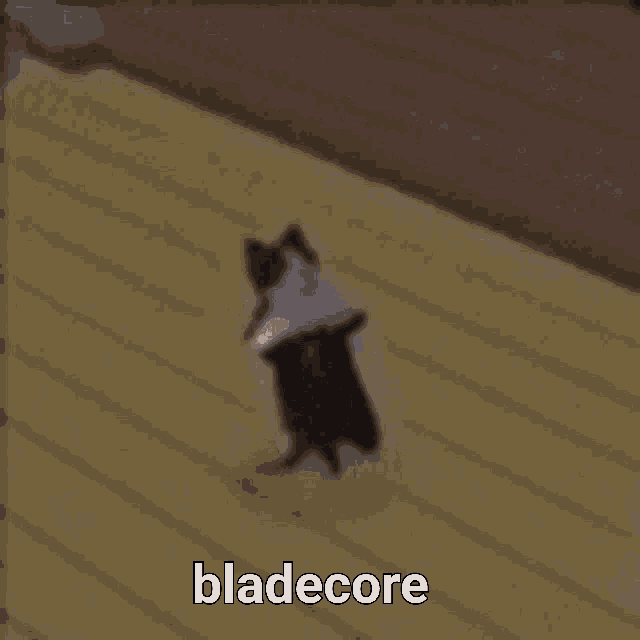 a black and white cat is walking on a wooden floor with the word bladecore written on it