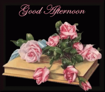 Good Afternoon Pink Rose GIF - Good Afternoon Pink Rose Flowers GIFs