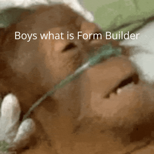 a monkey wearing an oxygen mask with the words boys what is form builder