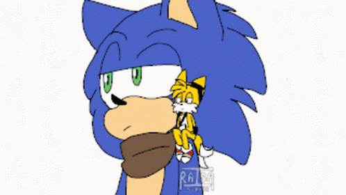 Sonic X Tails GIF