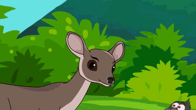 a cartoon drawing of a deer with the words animal cartoons on the bottom