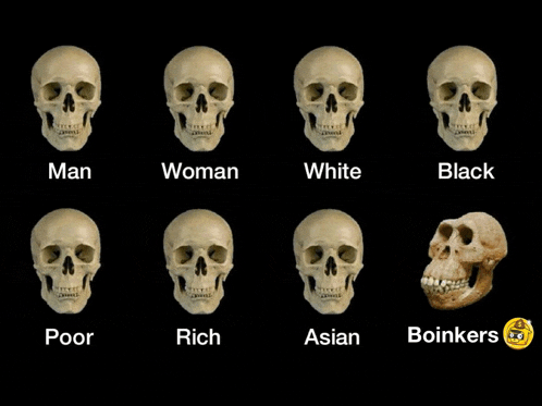 a group of skulls with the words man woman white black poor rich asian and boinkers on the bottom
