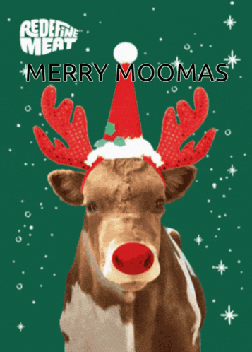 a reindeer wearing a santa hat and antlers says merry moomas on the bottom