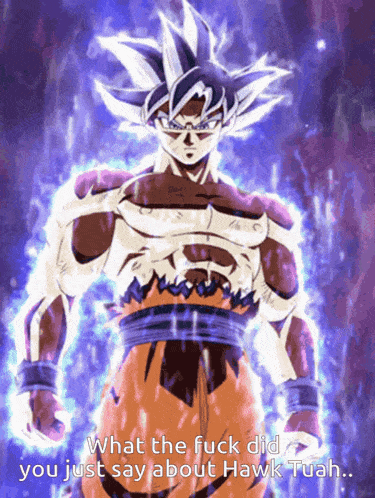 a picture of a cartoon character that says what the fuck did you just say about hawk tuan