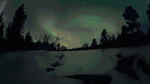 I Want You2 GIF - Aurora Borealis Northernlights GIFs