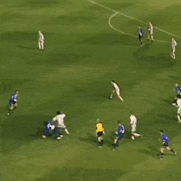 a group of soccer players are on a field