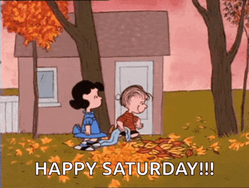 a cartoon of lucy and linus playing with leaves with the caption happy saturday