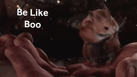 a hamster is being held in a person 's hand and says `` be like boo '' .