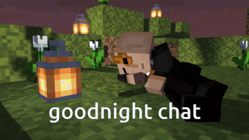 a screenshot of a video game with the words goodnight chat below it