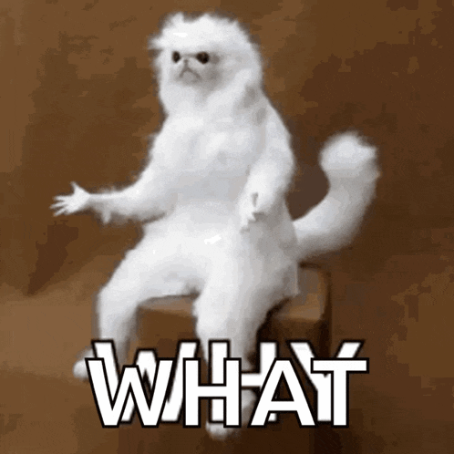a white cat is sitting on a box with the word what written below it