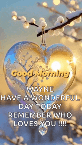 a good morning message with a heart shaped ornament on a tree branch .