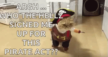 Cat Kitten GIF - Cat Kitten Pirate Act GIFs