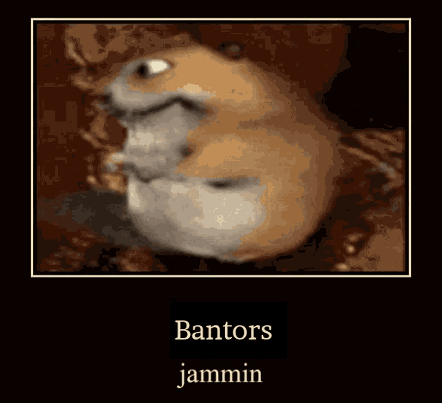 a picture of a hamster that says bantors jammin on it