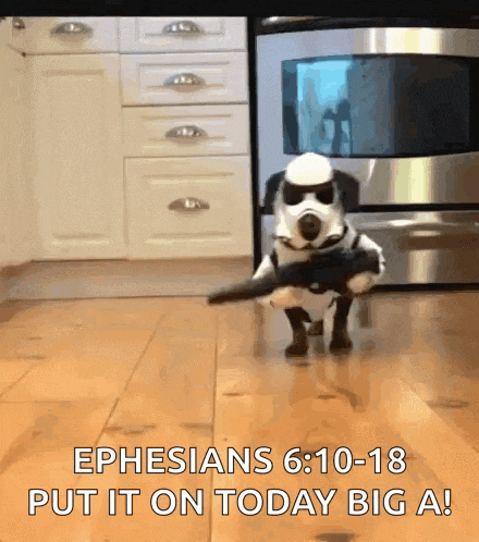 a dog dressed in a storm trooper costume with the words ephesians 6 10-18 put it on today big a on the bottom