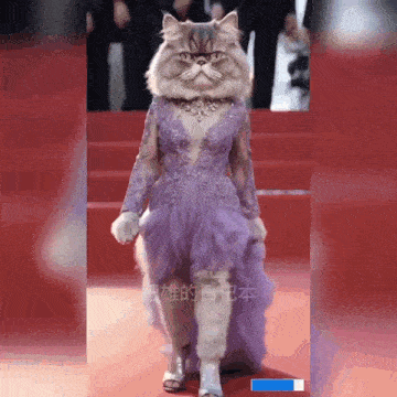 a cat wearing a purple dress with chinese writing on the bottom