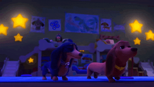 two dachshunds are standing next to each other in a room