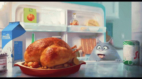 Diet GIF - Secretlifeofpets Cat Hungry GIFs