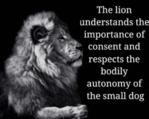 a black and white photo of a lion with a quote on it