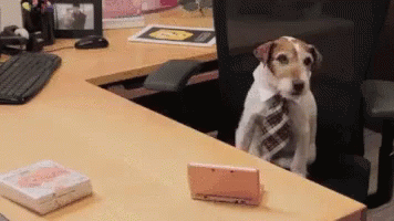 Office Dog GIF - Office Dog Boss GIFs