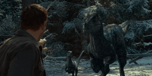 a man is looking at a group of dinosaurs in the snow
