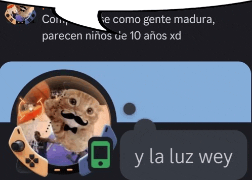 a picture of a cat with a mustache and the words " parecen niños de 10 anos xd " on the bottom