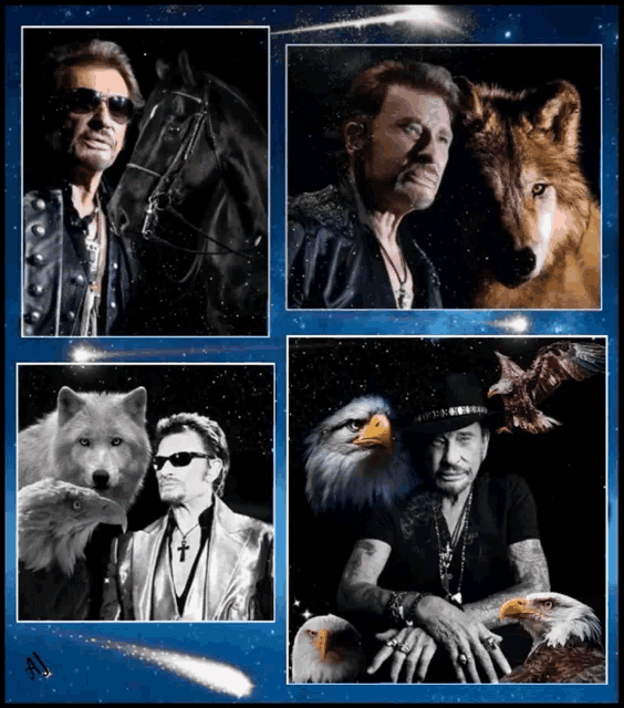 a collage of four pictures shows a man with a horse a wolf and an eagle