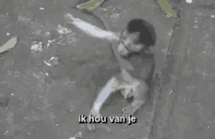 a monkey is standing on a sidewalk with the words `` ik hou van je '' written above it .