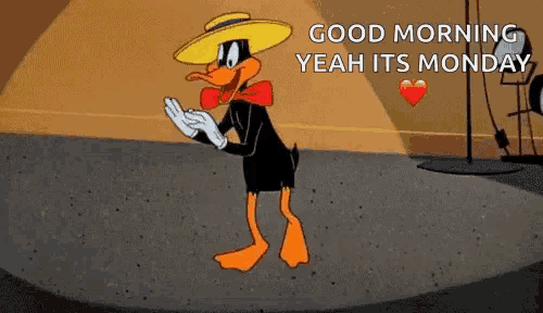 Cartoons Daffy GIF