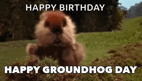 a groundhog is sitting in the grass with the words `` happy birthday happy groundhog day '' written on it .