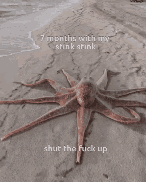 Octopus 7months GIF - Octopus 7months Stink GIFs